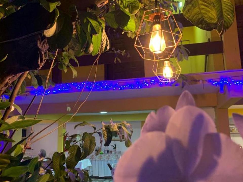Pousada Toca dos Coelhos Arraial do Cabo Exterior foto